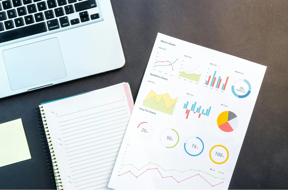 SEO statistiky